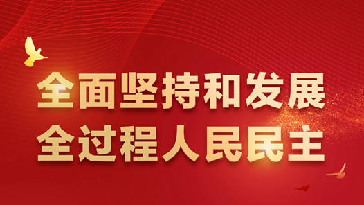 将“坚持全过程人民民主”写入总则