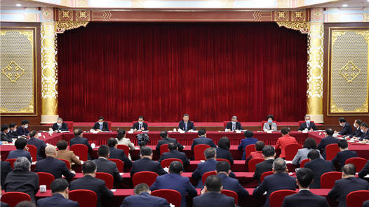 习近平总书记在政协农业界社会福利和社会保障界委员联组会上重要讲话引发热烈反响