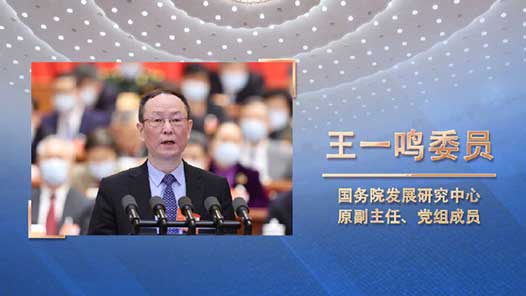 王一鸣：中国经济“稳”可预期“进”有动能