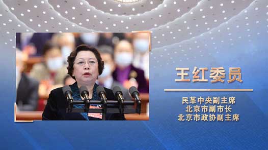 王红：壮大乡村产业实现稳定脱贫与乡村振兴有机衔接