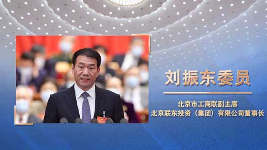 刘振东：切实发挥民营企业在稳增长中的积极作用