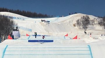 冬残奥会单板滑雪男子障碍追逐LL1级决赛武中伟摘铜