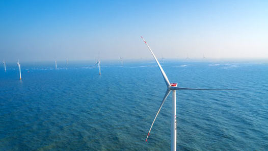 “要先立后破，而不能够未立先破”——从全国两会看正确认识和把握“双碳”目标