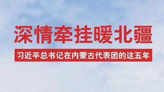 连续五年参加内蒙古代表团审议，总书记多次谈到这些问题