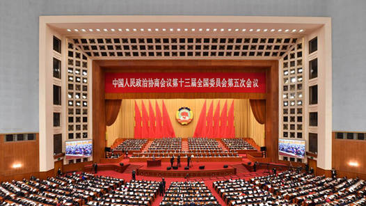 全国政协十三届五次会议举行第二次全体会议 汪洋出席 12名委员作大会发言