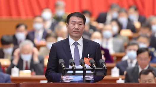 刘振东委员代表全国工商联发言：发挥民营企业在稳增长中的积极作用