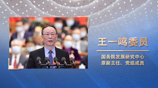 “奋进者的昂扬姿态”——全国政协十三届五次会议首场大会发言特写