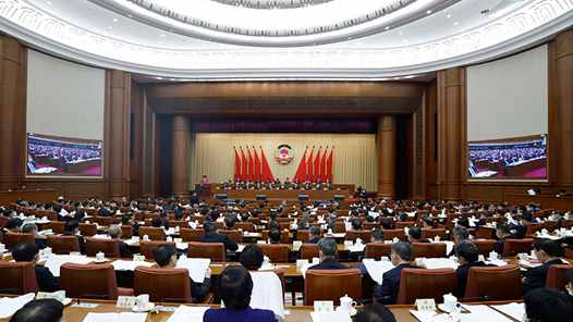 全国政协十三届五次会议举行视频会议 汪洋出席 12名委员作大会发言