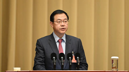 张恩迪委员代表致公党中央发言：发挥双循环节点作用 促进经济高质量发展