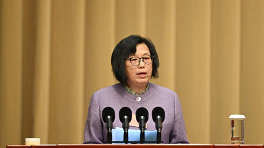 袁雯委员发言：践行积极老龄观 促进老有所为