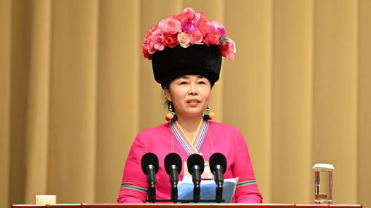 张敏委员：坚守民族团结誓词 共建美好家园