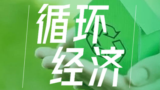 “发展循环经济是实现双碳目标的重要路径”