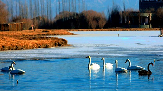 2022年将充实涉外法律工具箱