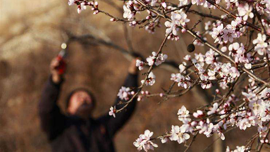 从严追诉网络诽谤等犯罪 最高检起诉相关案件同比上升