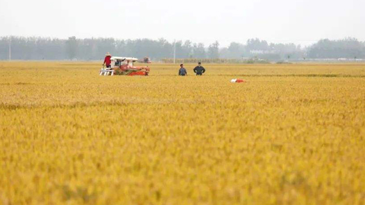 全国政协委员：积极参与文化教育扶贫 助推乡村振兴