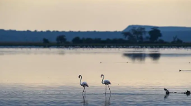 国家公园怎么建？人大代表这样建议