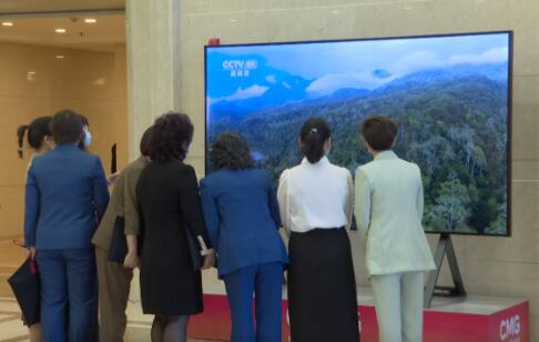 是什么让两会代表委员们纷纷拍照打卡？一起来看总台8K超高清！