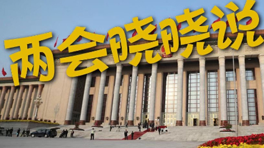 两会晓晓说丨传承工匠精神 基层代表的故事令人动容