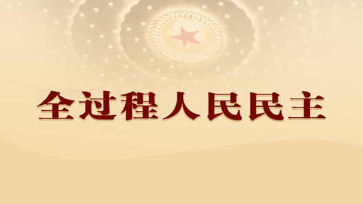 为新征程汇聚澎湃力量——从全国人大常委会工作报告感受全过程人民民主生动实践