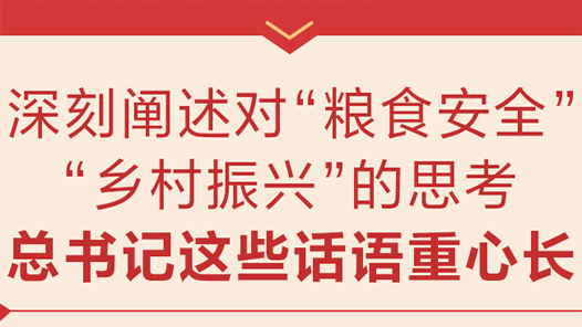 微镜头：深刻阐述对“粮食安全”“乡村振兴”的思考 总书记这些话语重心长