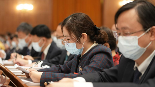 两会·代表履职记：王萌萌——关注农村集体经济发展