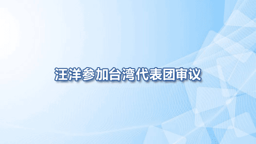 汪洋参加台湾代表团审议