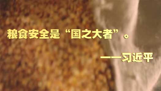 微视频｜深情寄“三农”