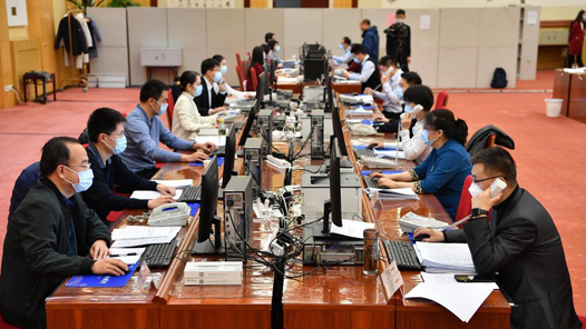 十三届全国人大五次会议收到代表议案487件 收到代表建议约8000件