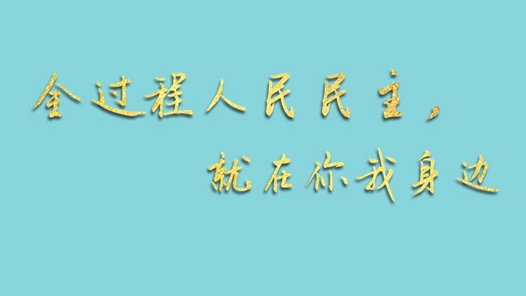 两会手绘长卷：全过程人民民主，就在你我身边