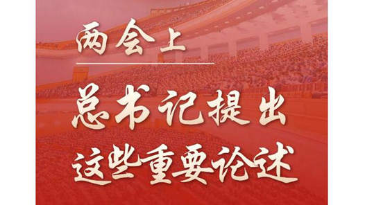 第一观察丨两会上，总书记提出这些重要论述