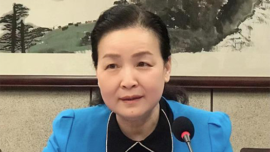 【工言工语】全国人大代表李素萍：加快建立职业伤害保障制度