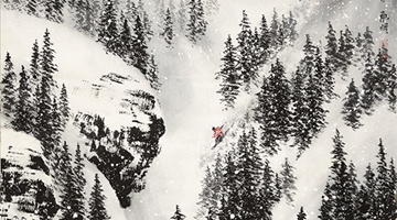 ����ѩ�顤�����Ρ�ѩ��֮�� 