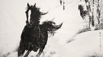 ����ѩ�顤�����Ρ�̤ѩ