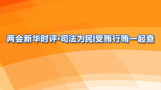两会新华时评·司法为民丨受贿行贿一起查