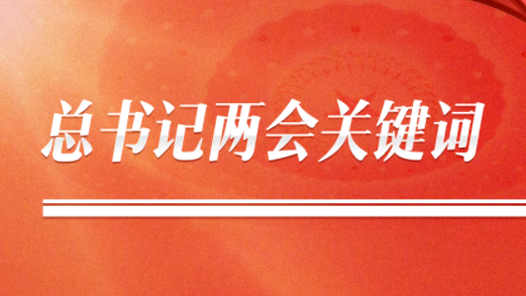 听！总书记的两会声音～