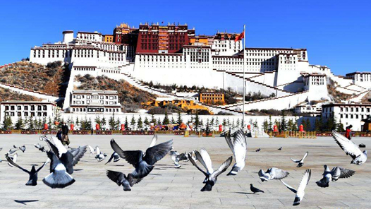 班禅额尔德尼·确吉杰布委员：让藏传佛教教义阐释更加适应新的时代