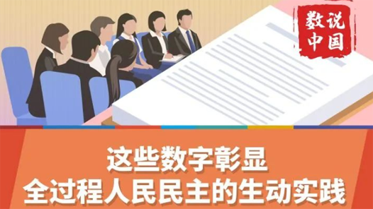透过这些数据，看全过程人民民主的生动实践