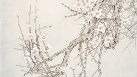 ����ѩ�顤�����Ρ�����ӳ���� ����ӭ����