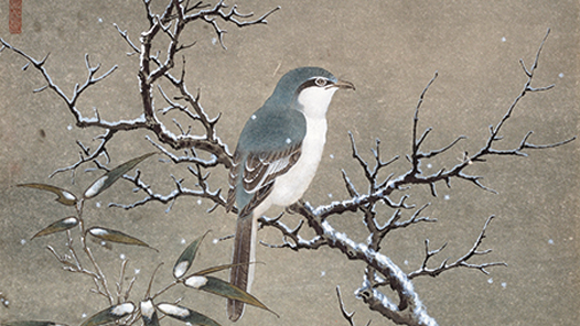 ����ѩ�顤�����Ρ�����ѩ�� 