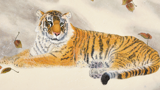 ����ѩ�顤�����Ρ����ɨ��Ҷ ��ѩ�۵��� ����ɽ��Х