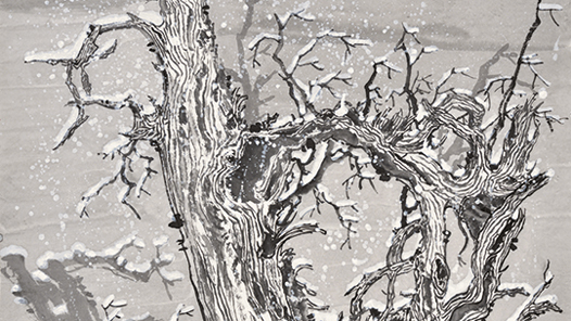 ����ѩ�顤�����Ρ�������Ϣ