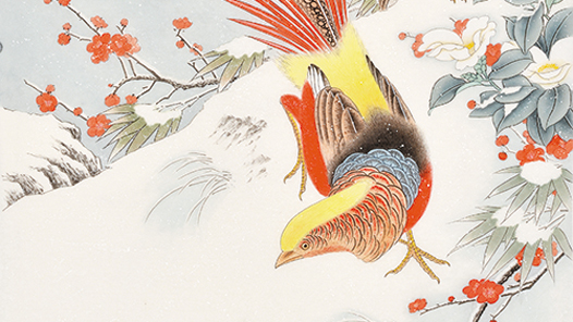 ����ѩ�顤�����Ρ���������