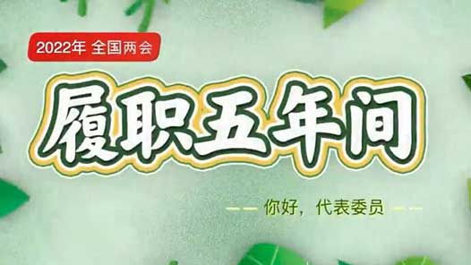 履职五年间｜手绘长卷诠释全过程人民民主的生动实践