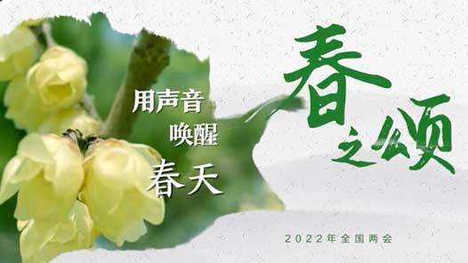 声声入画！两会原来可以这样听