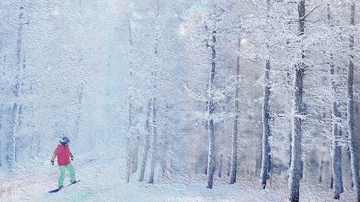 ����ѩ�顤�����Ρ�����������ﻪ �����������