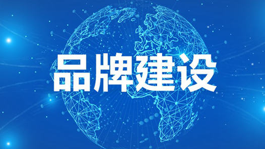 委员建议加快推进品牌协同发展