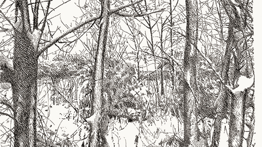 ����ѩ�顤�����Ρ�ѩ��3