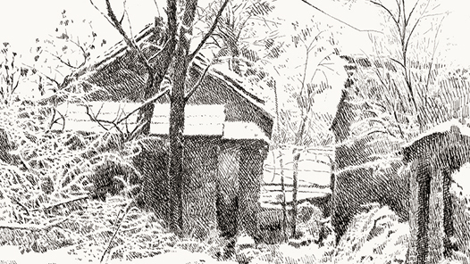 ����ѩ�顤�����Ρ�ѩ��5