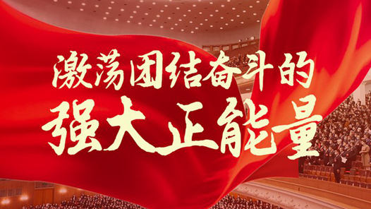新华社评论员：激荡团结奋斗的强大正能量
