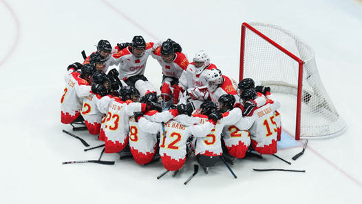 他们，在冰橇上创造奇迹